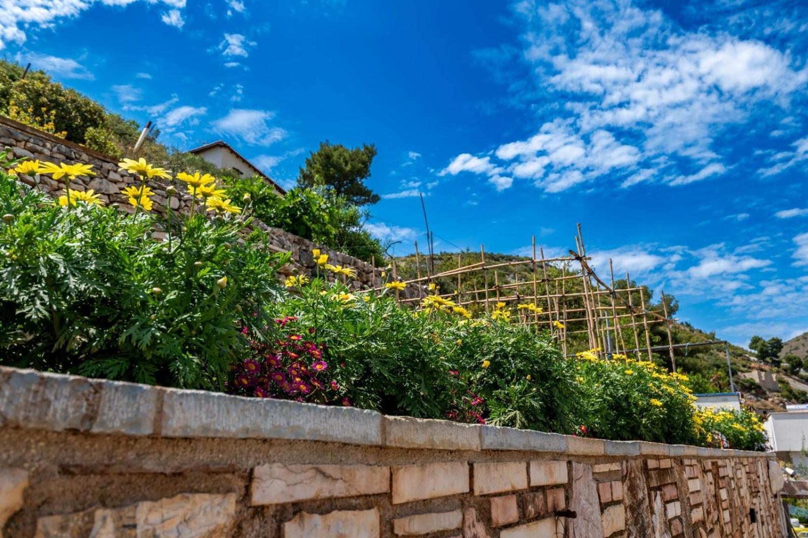 Vila Basho ซารานเดอ ภายนอก รูปภาพ